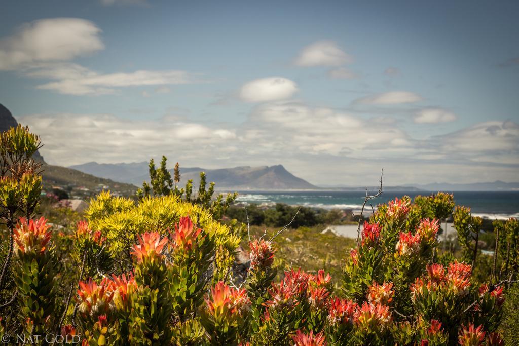 The Trailhouse Hotel Bettyʼs Bay Exterior foto